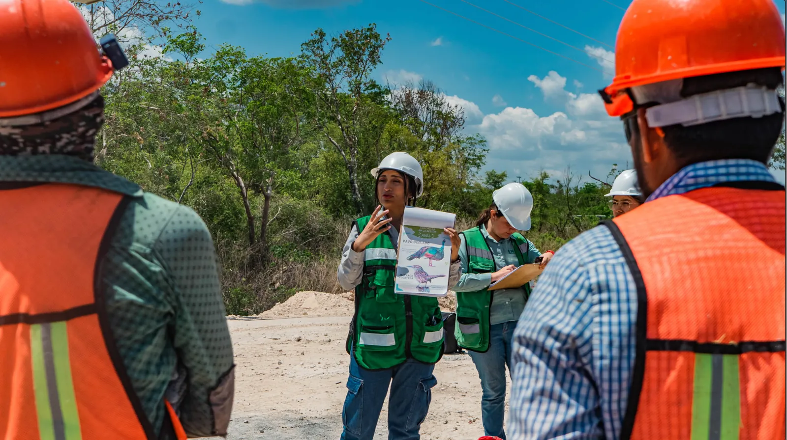 Capacitación ambiental