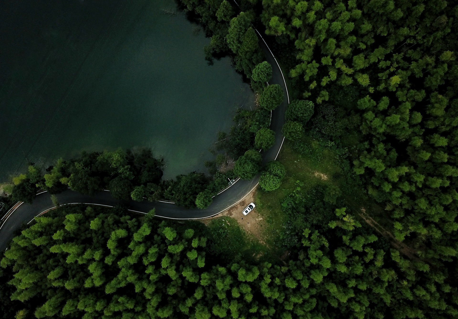 Reforestación y obras de conservación de suelo